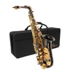 Saxo Alto ROBINSON 6430BN | Black Nickel - Incluye Maleta