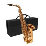 Saxo Alto ROBINSON 6430L | Lacquered - Incluye Maleta