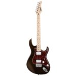 Guitarra Eléctrica CORT G100 HH OPW